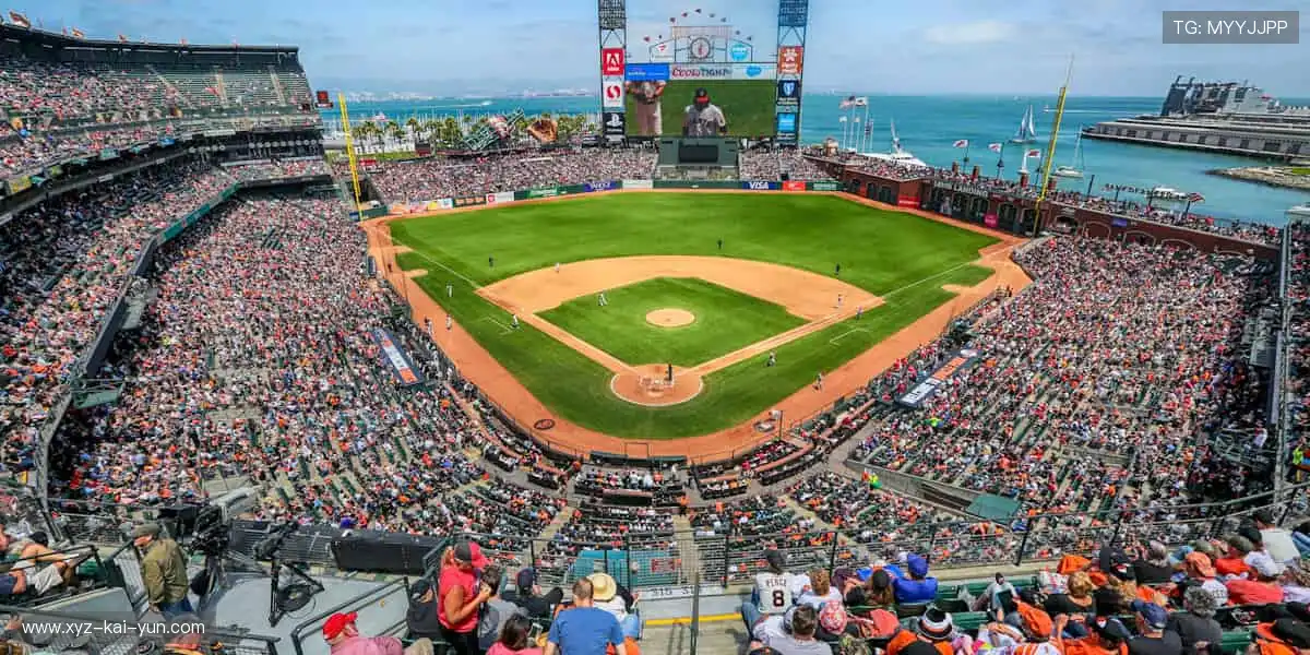 热血赛事,每一秒都值得尖叫!🔥